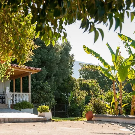 Retreat Spartia (Kefalonia)